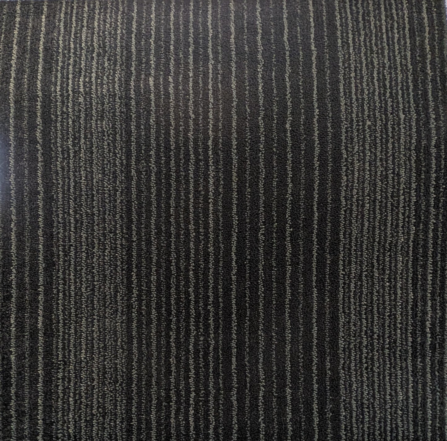 Shaw 63FXV Carpet Tile-24"x 24"(12 Tiles/case, 48 sq. ft./case)