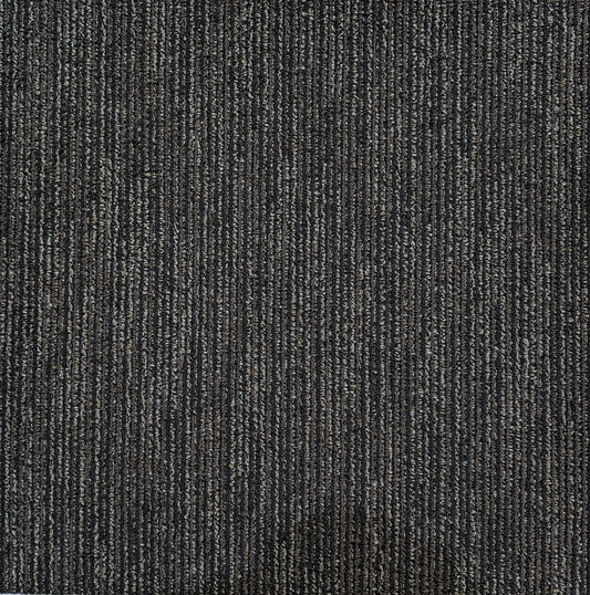 Shaw 00505 Carpet Tile-24"x 24"(12 Tiles/case, 48 sq. ft./case)