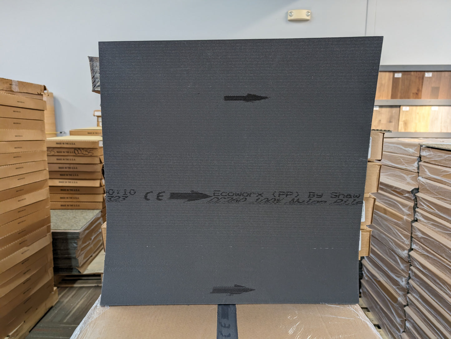 Shaw Feisty Carpet Tile-24"x 24"(12 Tiles/case, 48 sq. ft./case)