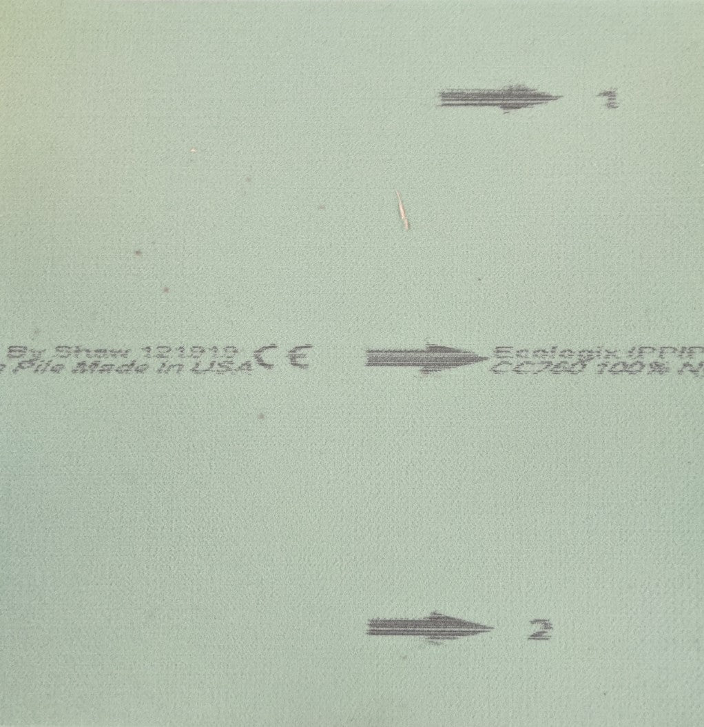 Carpet Tile USA Shaw Lichen Carpet Tile-24"x 24"(12 Tiles/case, 48 sq. ft./case)