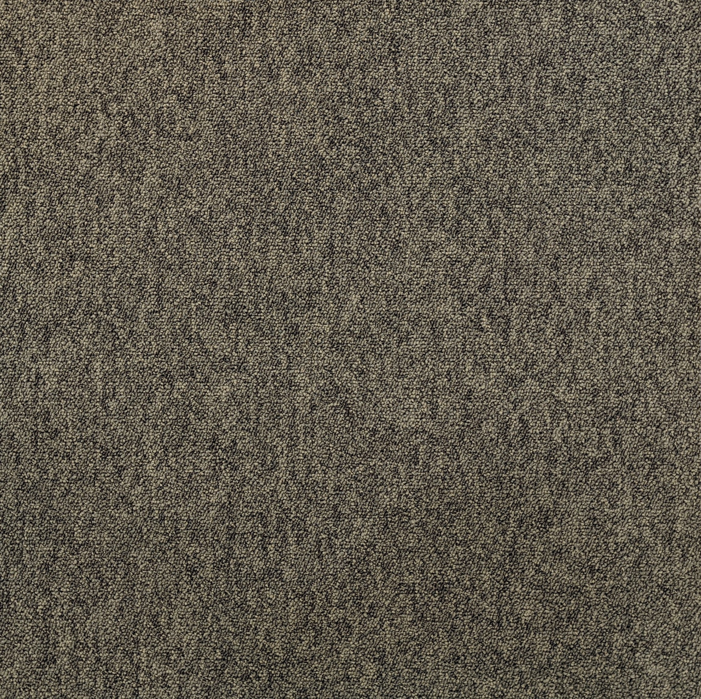 Shaw 04125 BOONE Carpet Tile. 48sq.ft./Case – Carpet Tile USA