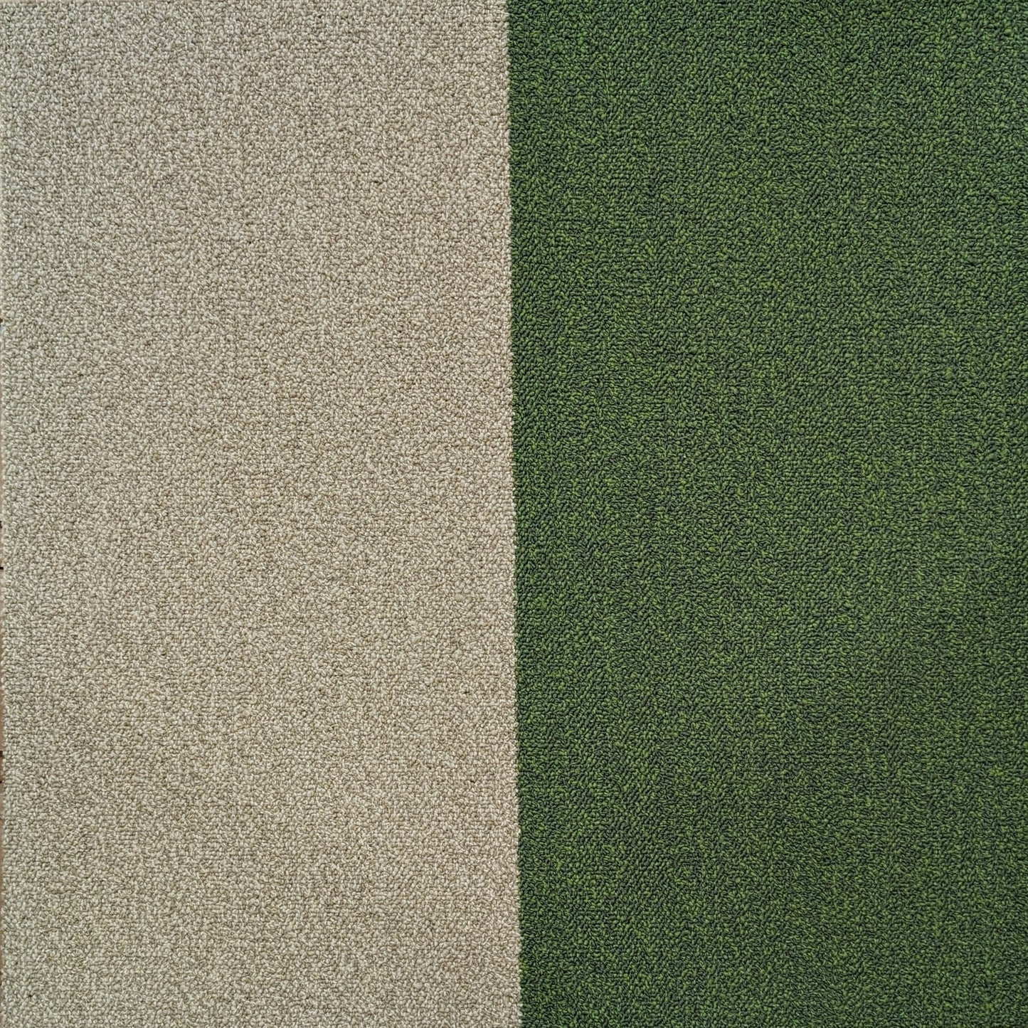 Shaw 00001 GREEN N TAN Carpet Tile. 48sq.ft./Case