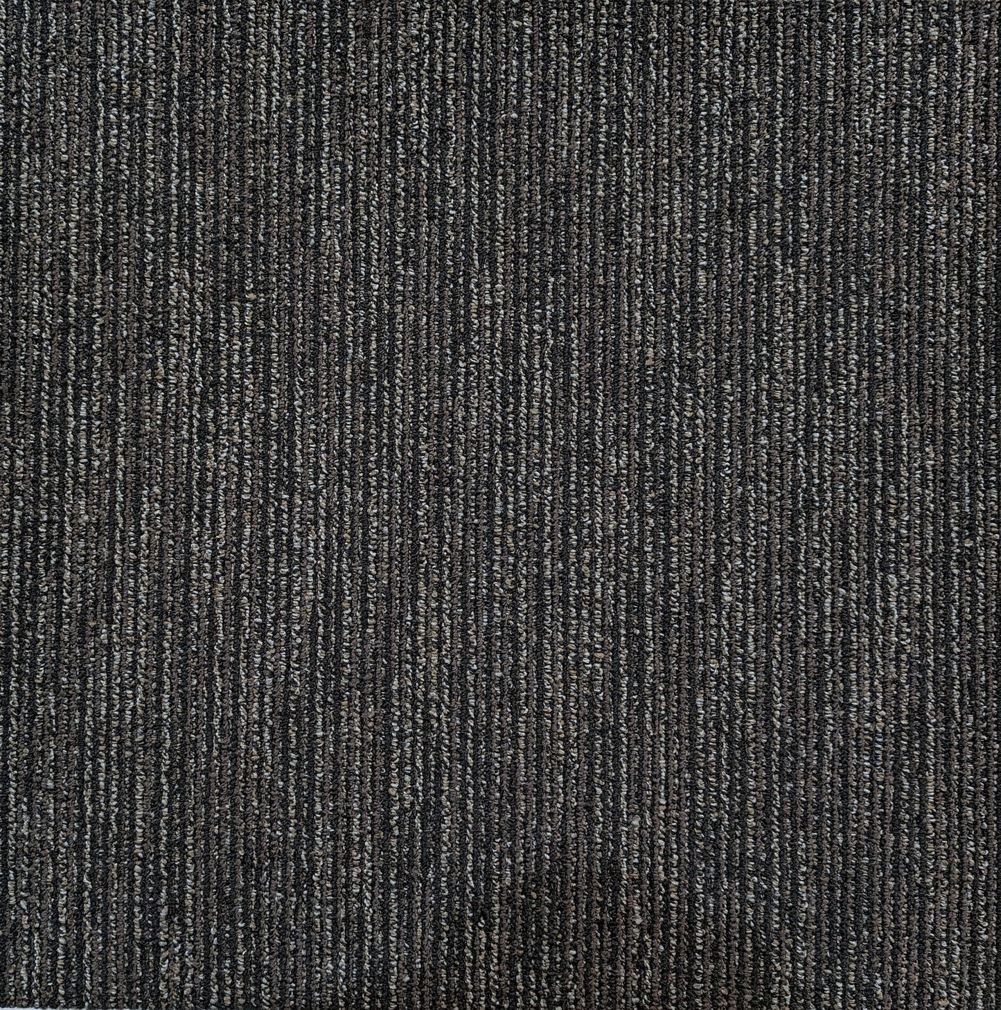 Shaw 00505 Carpet Tile-24"x 24"(12 Tiles/case, 48 sq. ft./case)