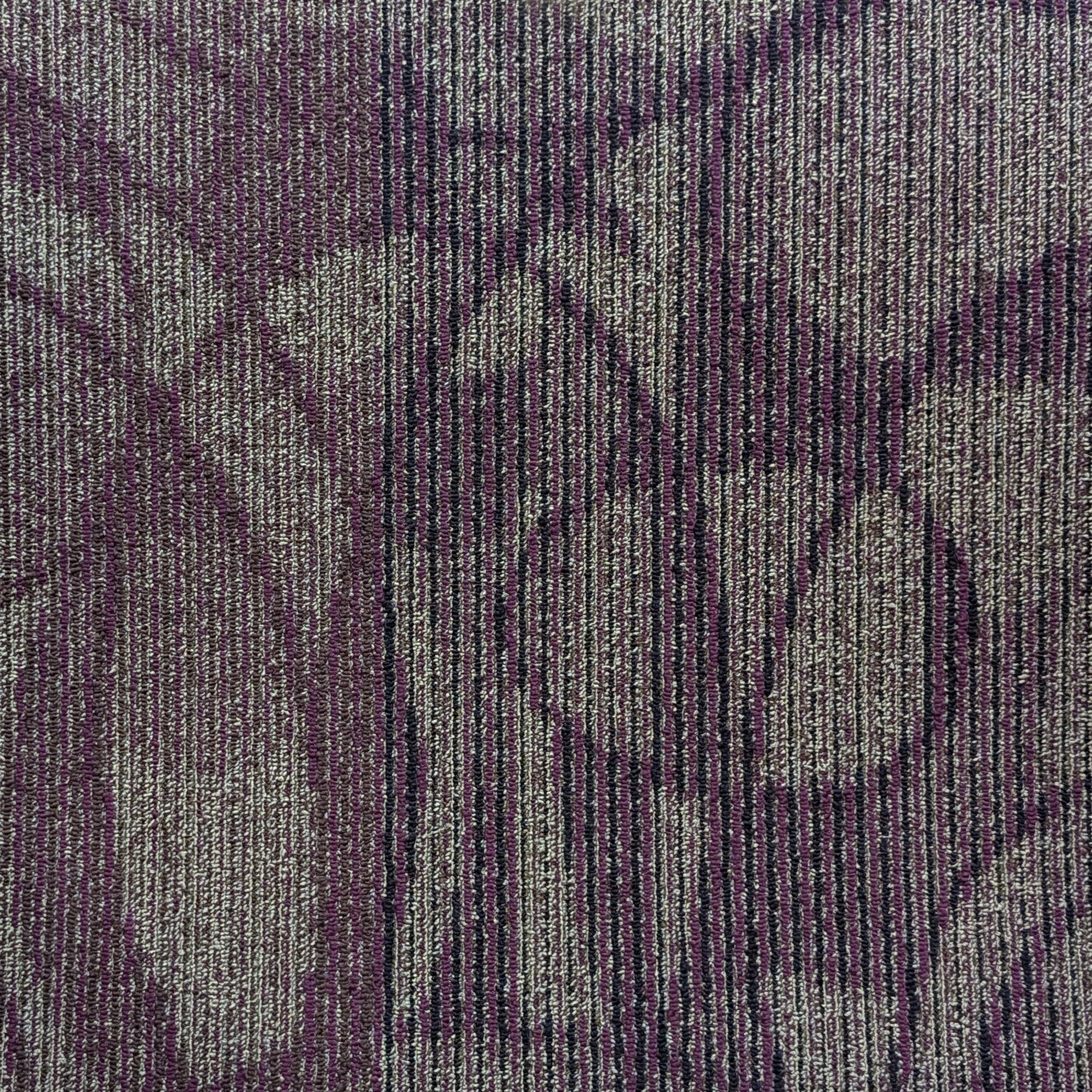 Shaw 00909 PURPLE Carpet Tile. 48sq.ft./Case – Carpet Tile USA