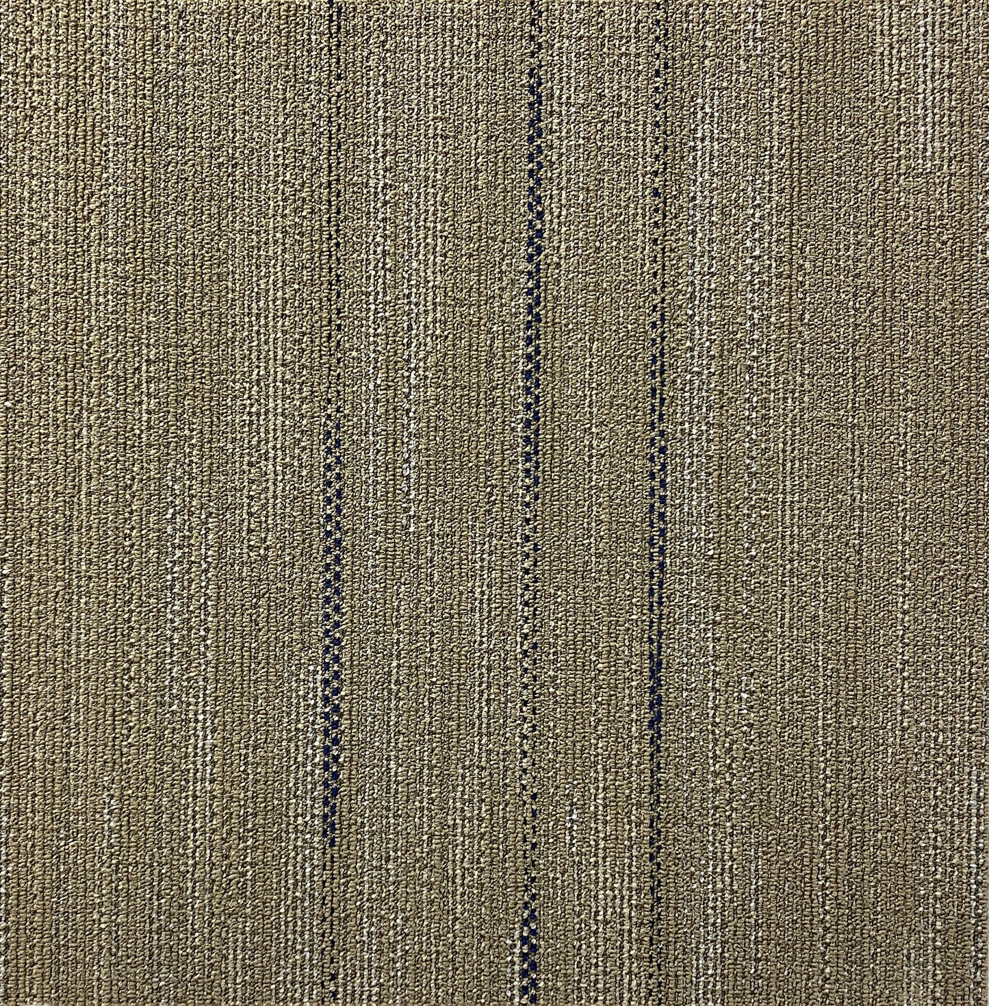 Shaw Tryk Carpet Tile-24"x 24"(12 Tiles/case, 48 sq. ft./case)