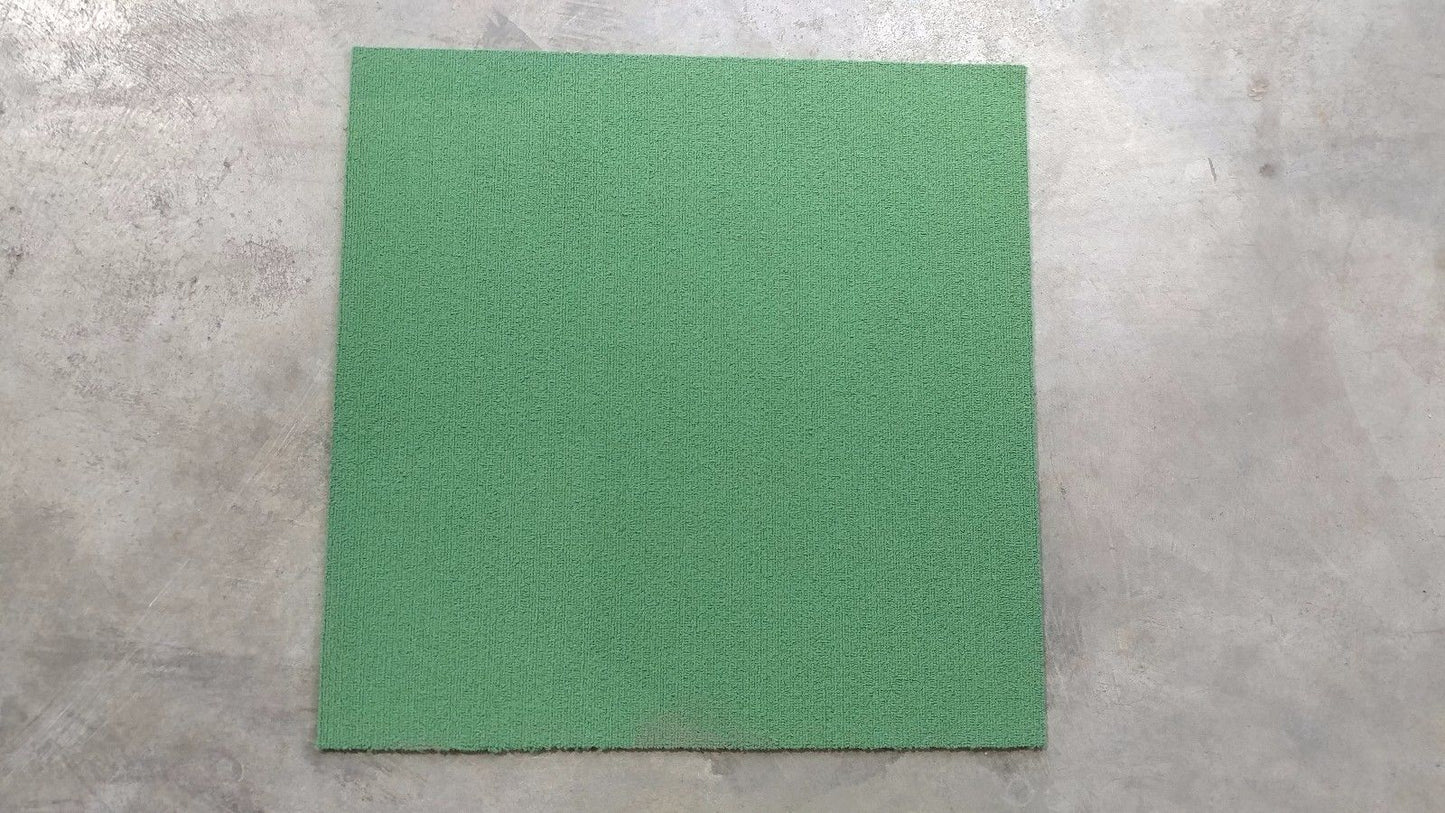Carpet Tile USA Shaw Grasshopper Carpet Tile - 2' x 2' (12 tiles/case, 48 sq.ft.)