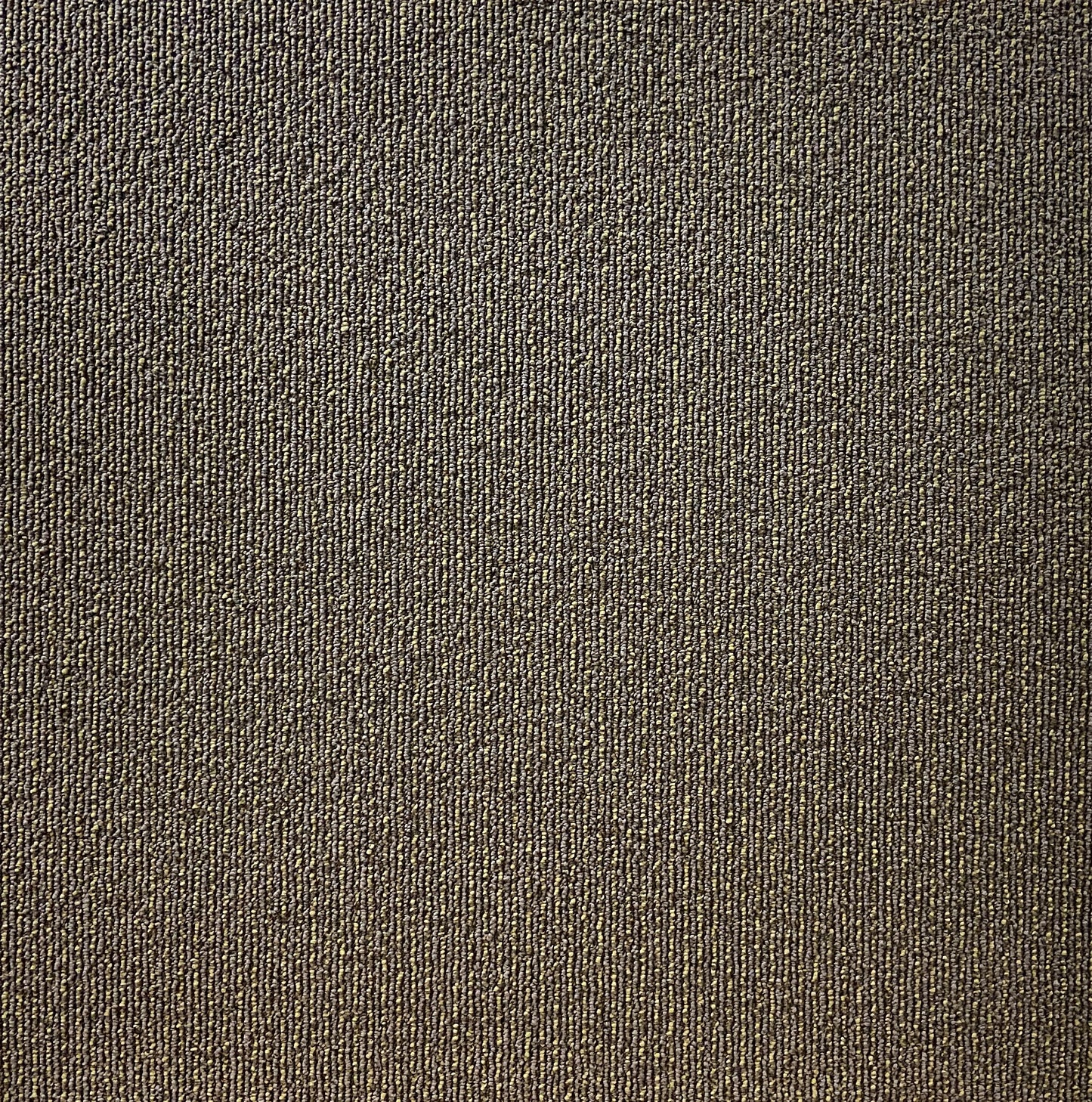 Shaw Fresh Carpet Tile-24"x 24"(12 Tiles/case, 48 sq. ft./case)