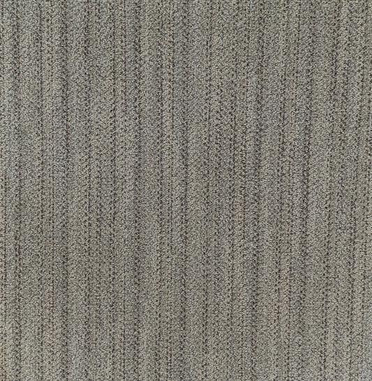 Shaw Clairvoyance Carpet Tile-24"x 24"(12 Tiles/case, 48 sq. ft./case)