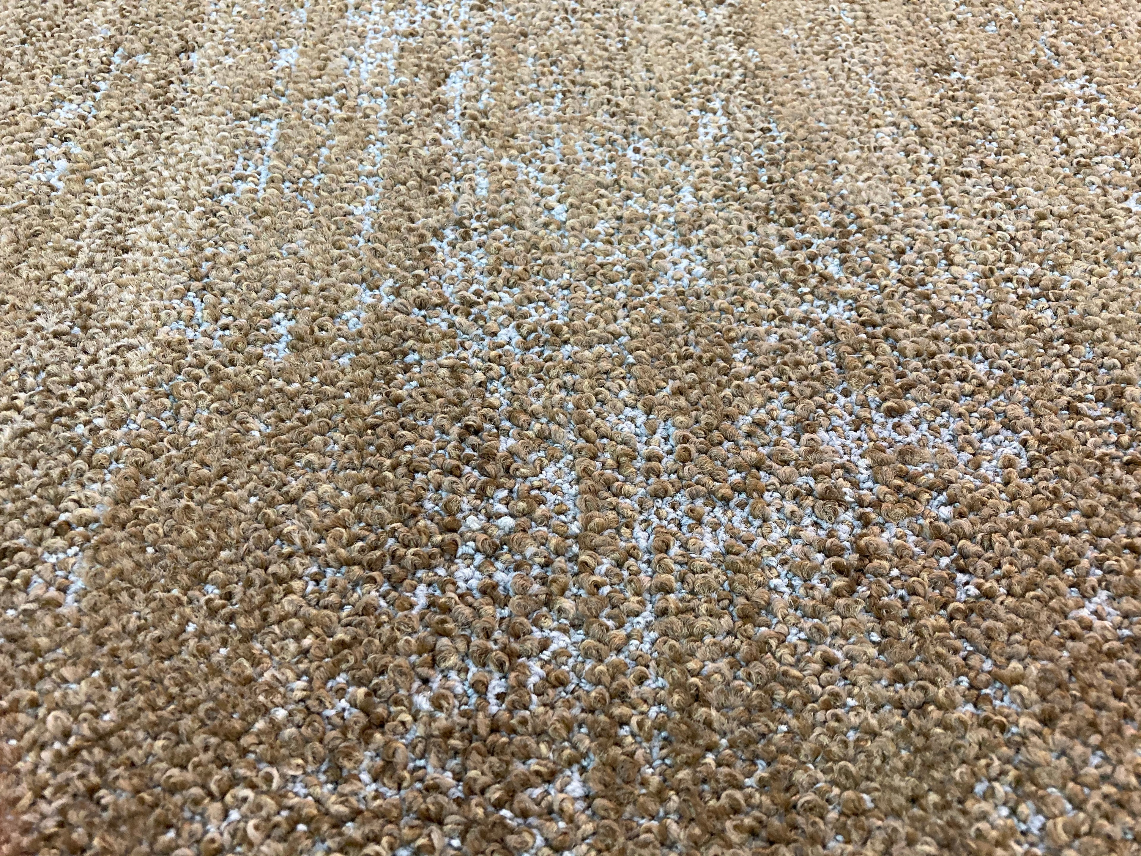 Carpet Tile USA Shaw 00155 Carpet Tile-36"x 18"(10 Tiles/case, 45 sq. ft./case)