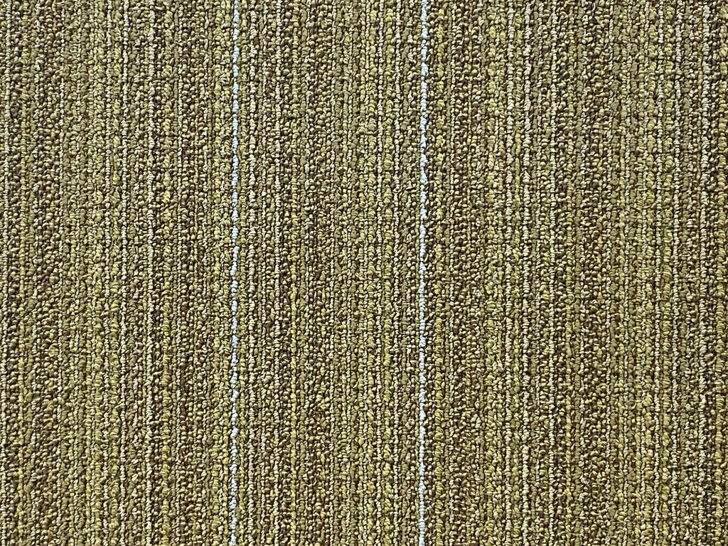 Shaw Green Space Carpet Tile-24"x 24"(12 Tiles/case, 48 sq. ft./case)