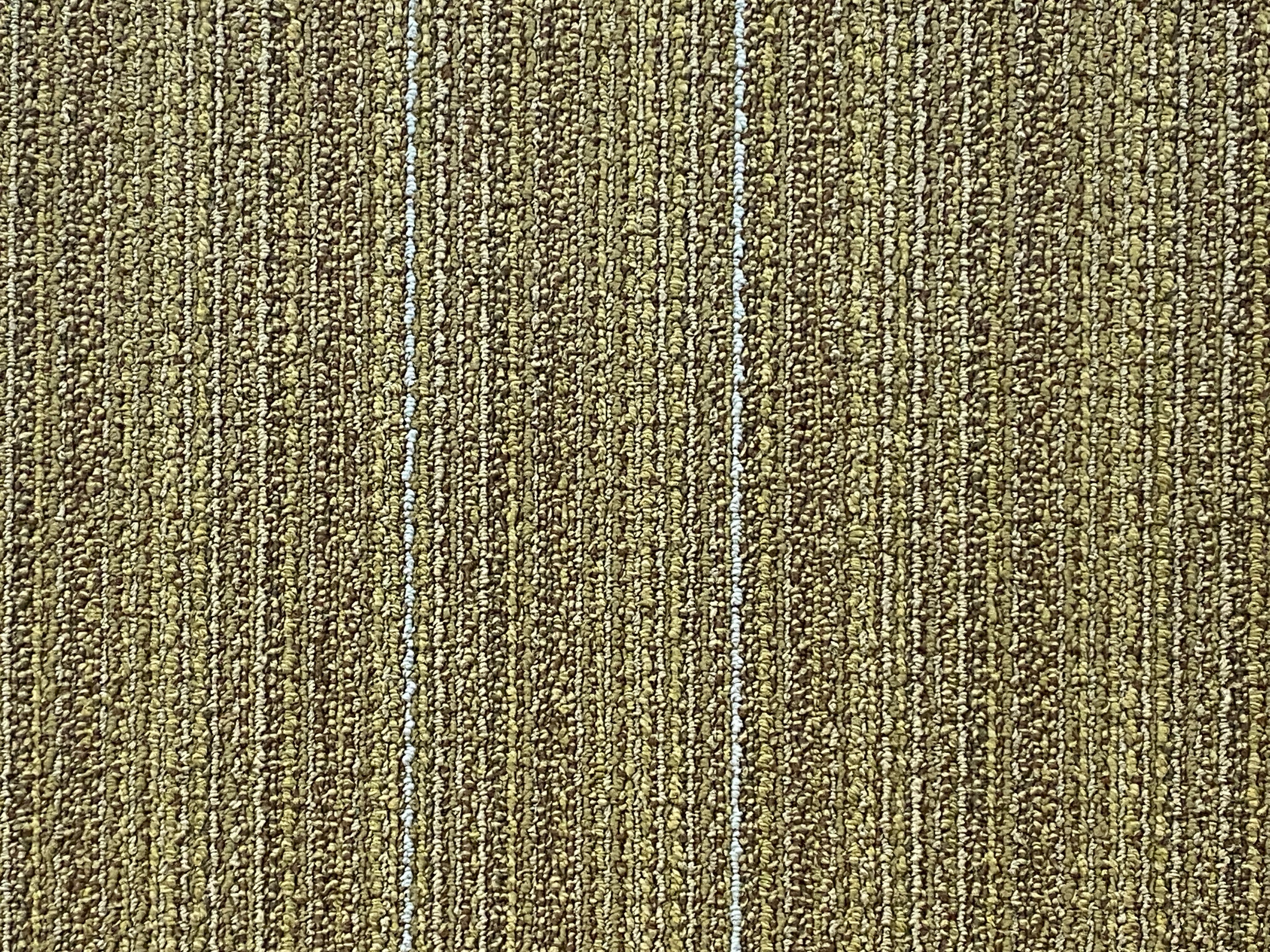 Shaw Green Space Carpet Tile-24"x 24"(12 Tiles/case, 48 sq. ft./case)