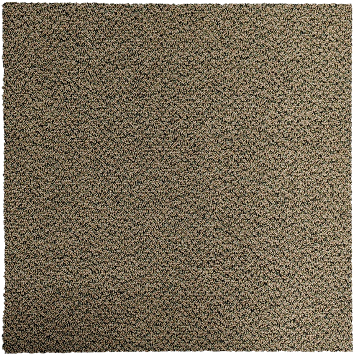 Carpet Tile USA Shaw Lounge Lizard Carpet Tile-24&quot;x 24&quot;(12 Tiles/case, 48 sq. ft./case)