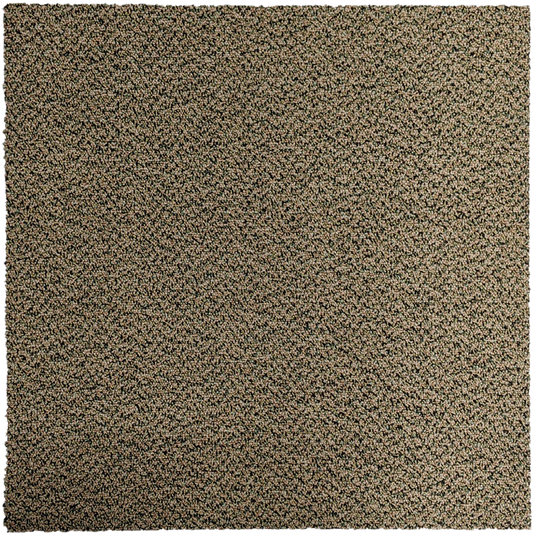 Carpet Tile USA Shaw Lounge Lizard Carpet Tile-24&quot;x 24&quot;(12 Tiles/case, 48 sq. ft./case)