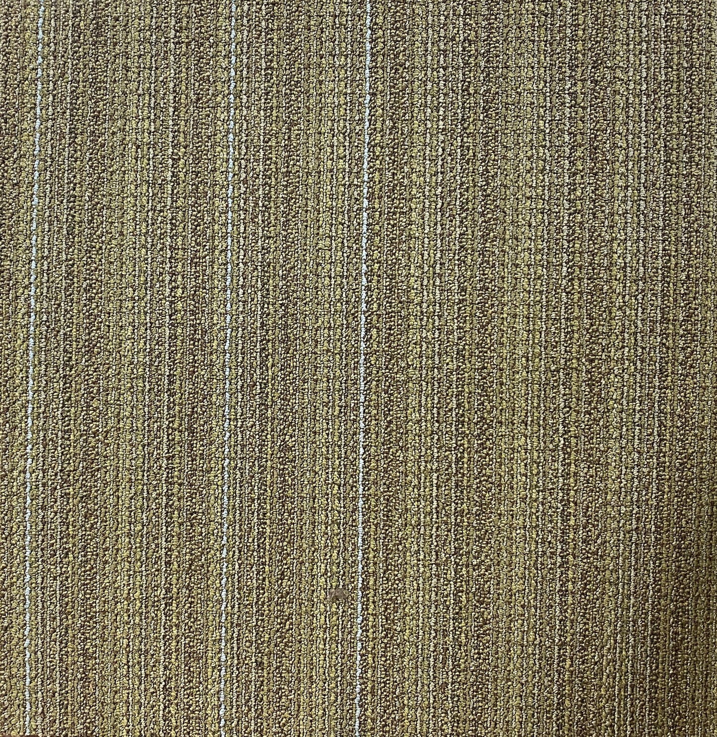 Shaw Green Space Carpet Tile-24"x 24"(12 Tiles/case, 48 sq. ft./case)