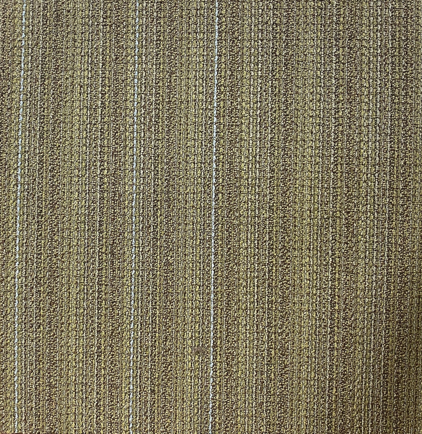 Shaw 6365Q Carpet Tile-24x 24 (12 Tiles/case, 48 sq. ft Shaw 6365Q Carpet Tile-24x 24 (12 Tiles/case, 48 sq. ft
