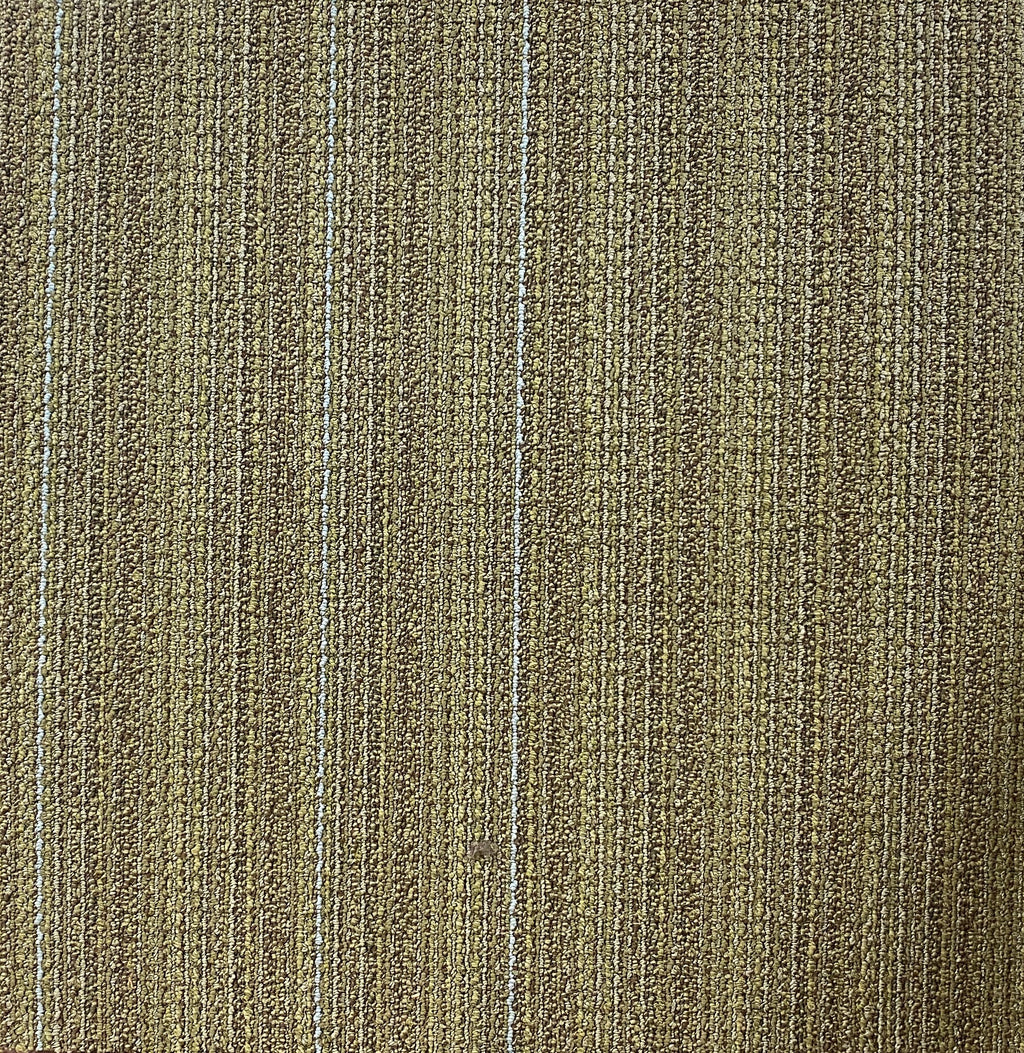 Shaw Green Space Carpet Tile-24"x 24"(12 Tiles/case, 48 sq. ft./case)