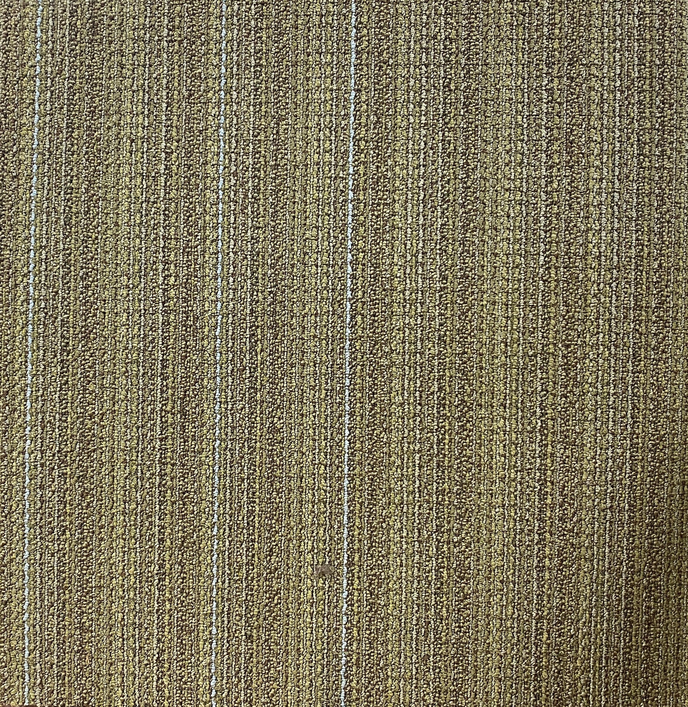 Shaw Green Space Carpet Tile-24"x 24"(12 Tiles/case, 48 sq. ft./case)