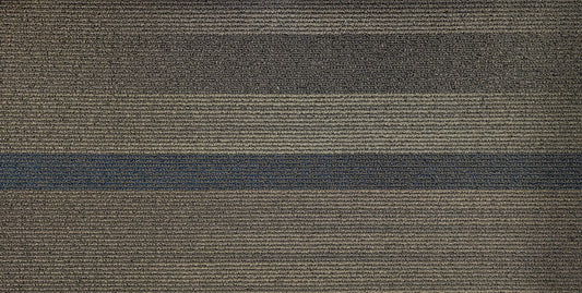 Shaw M8797-00330 Carpet Tile-36"x 18"(10 Tiles/case, 45 sq. ft./case)