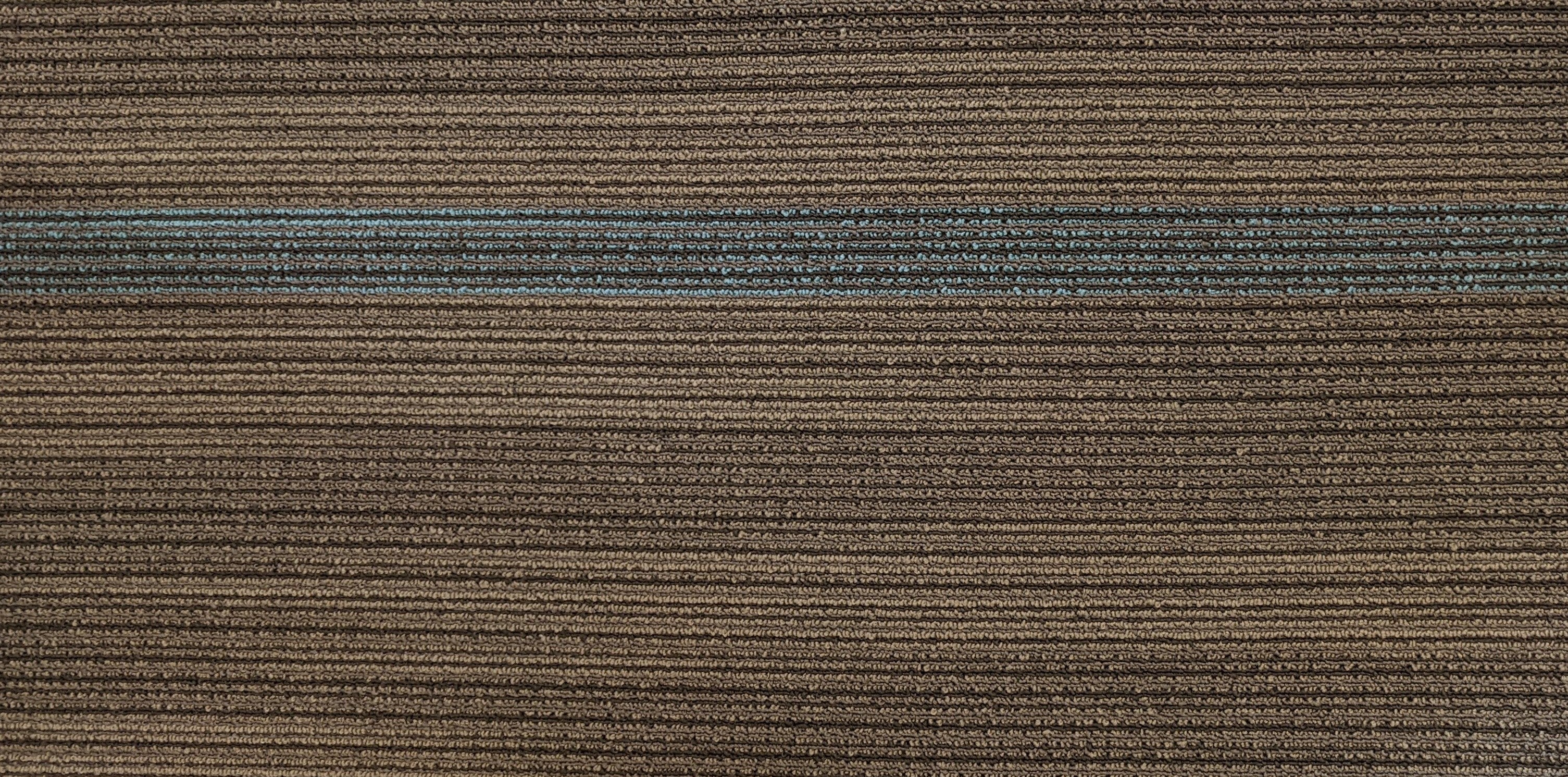 Shaw Transcend Carpet Tile-36"x 18"(10 Tiles/case, 45 sq. ft./case)