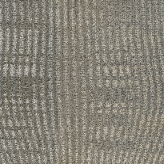 Shaw Beige Carpet Tile-24"x 24"(12 Tiles/case, 48 sq. ft./case)