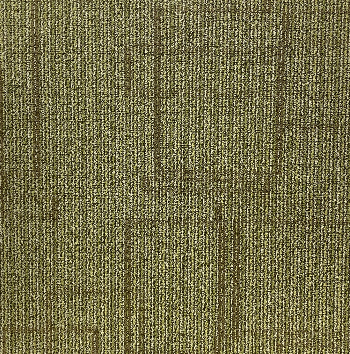 Shaw Green Space Carpet Tile-24"x 24"(12 Tiles/case, 48 sq. ft./case)