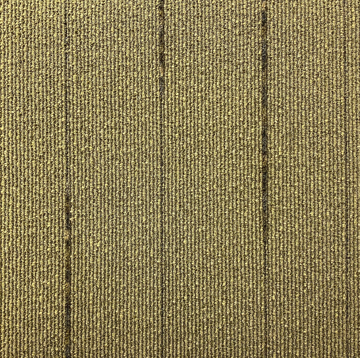 Shaw Cadence Carpet Tile-24"x 24"(12 Tiles/case, 48 sq. ft./case)