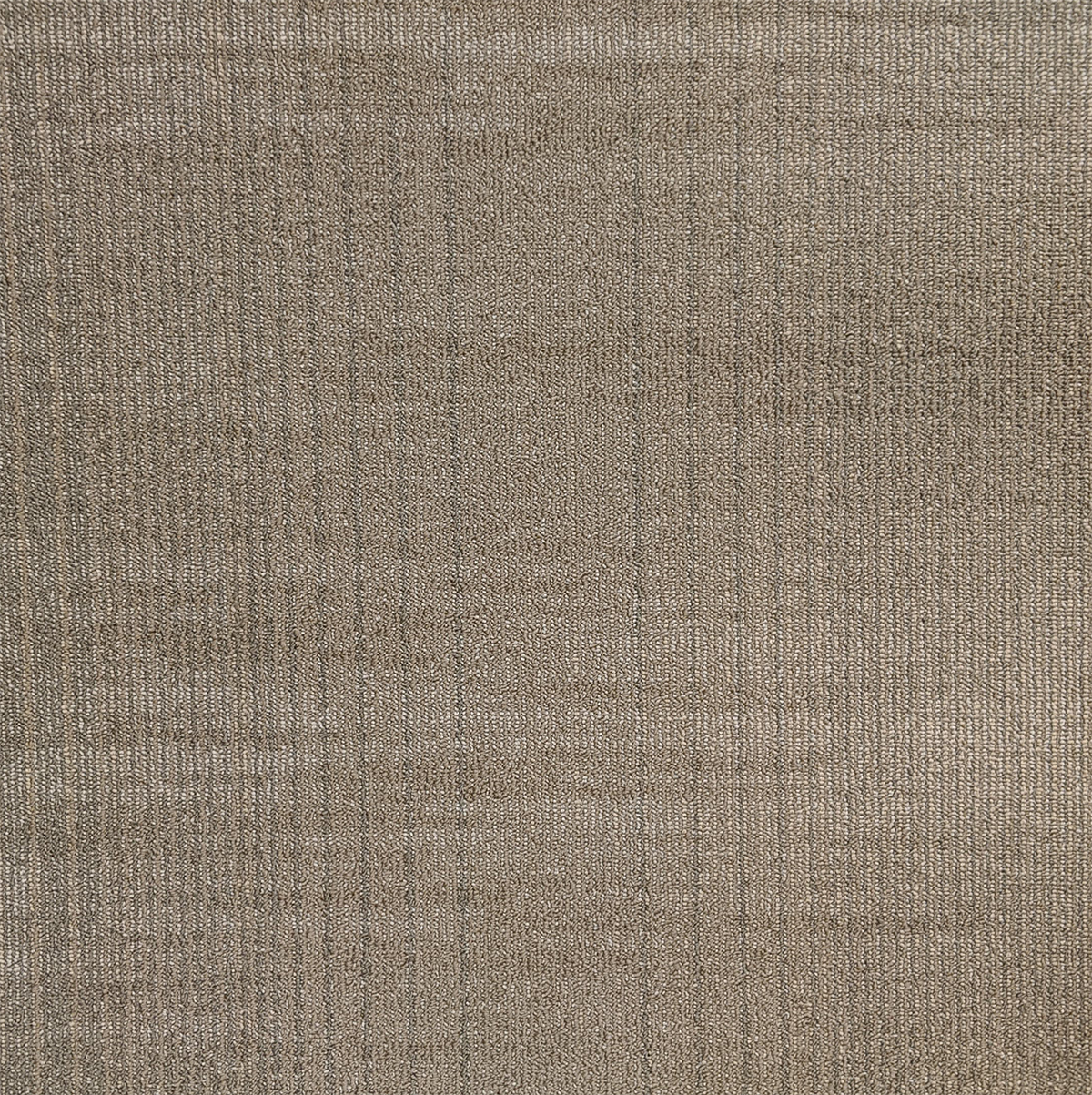 Carpet Tile USA Shaw Beige Carpet Tile-24"x 24"(12 Tiles/case, 48 sq. ft./case)